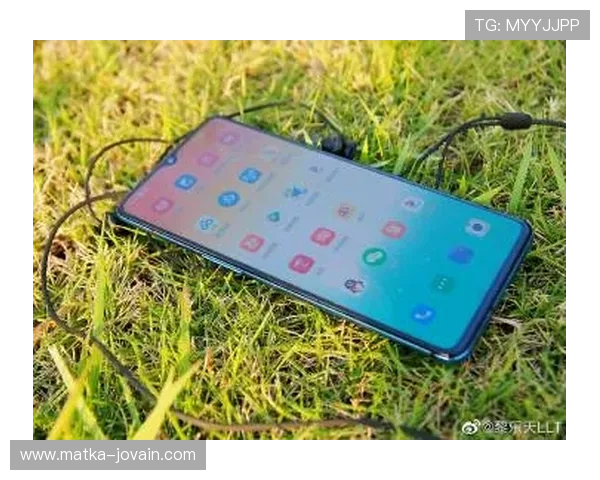 乐天体育平台：优惠活动与会员权益全面解析，享受更多福利