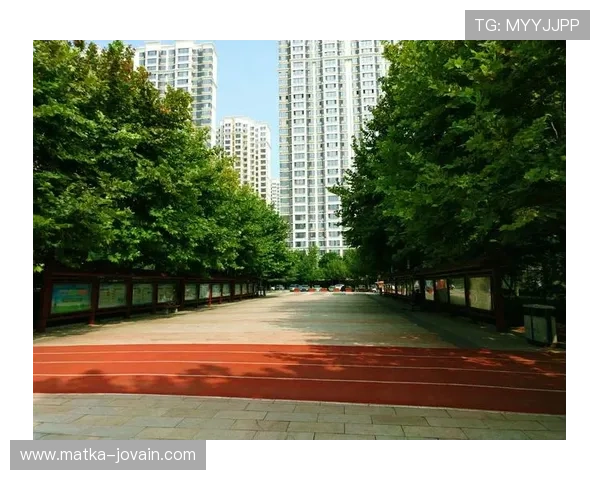 乐天体育登录账号密码忘记了怎么办，详细找回指南推荐